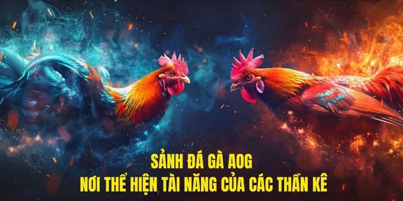 Sảnh cược AOG đá gà tại Hello88